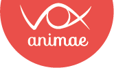 Vox Animae