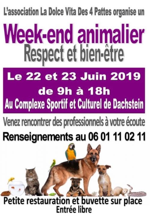 affiche week-end animalier par La Dolce Vita des 4 pattes