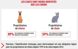 taux d'identification des chiens et des chats - communiqué presse juin 2020 Royal Canin
