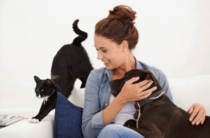 éducateur comportementaliste canin et félin