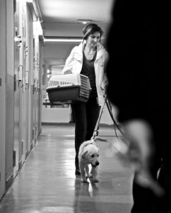 Intervenir en médiation animale en milieu pénitentiaire