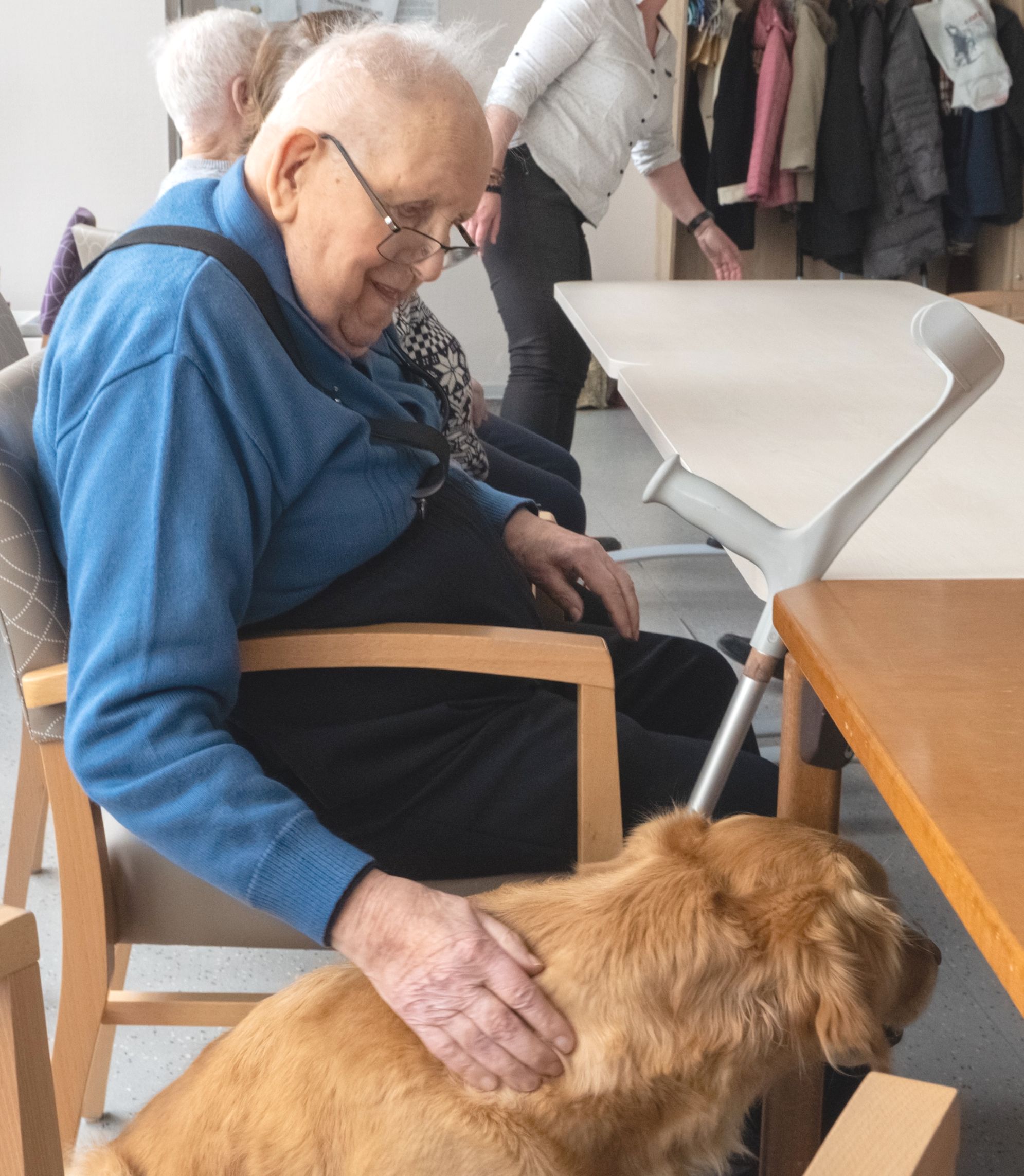 Le chien comme support thérapeutique