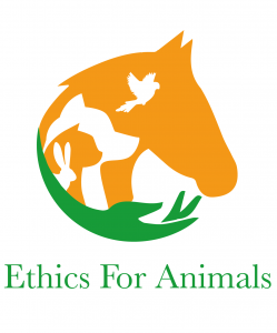 Vox Animae soutient l'association Ethics For Animals