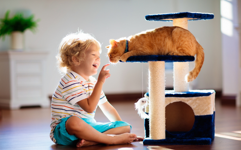 problématique enfant chat