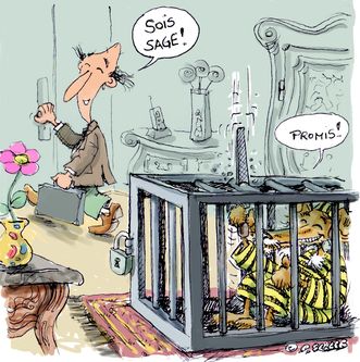 La cage pour chien : prison ou solution ? - Vox Animae