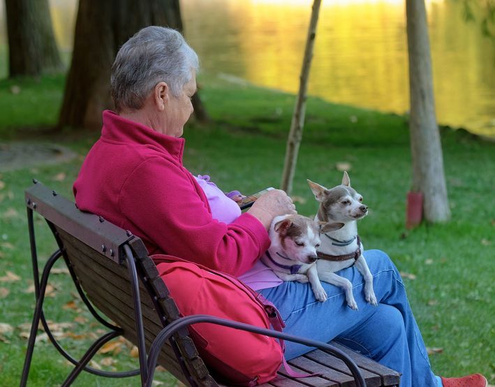 femme avec chiens