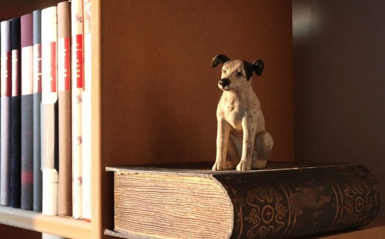 masterclass éthologie canine dans la littérature