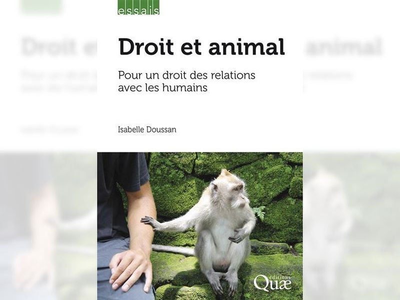 Livre droit et animal de Isabelle Doussan