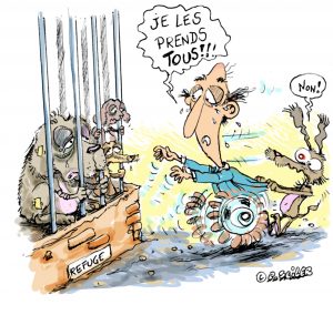 Dessin P.Seiler / Article DNA du 04/12/2024