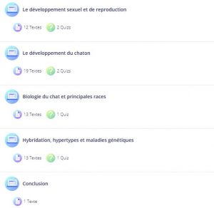 cours pour aider mon chaton à devenir un adulte équilibré
