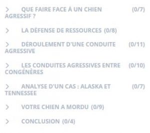 cours comportement agressif du chien