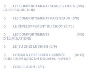 cours comment le chiot devient un adulte équilibré