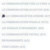 cours de quoi parlent les chiens