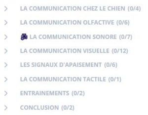 cours de quoi parlent les chiens