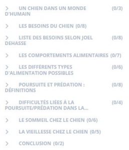 cours répondre aux besoins du chien