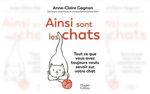 ainsi sont les chats, par Anne-Claire Gagnon