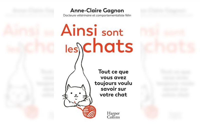 ainsi sont les chats, par Anne-Claire Gagnon