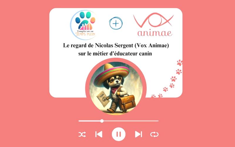 podcast nicolas sergent - tremplin pour un temps plein