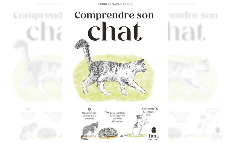 livre Comprendre son chat par Brunilde Ract-Madoux