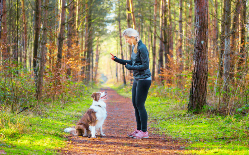 les apprentissages chez le chien