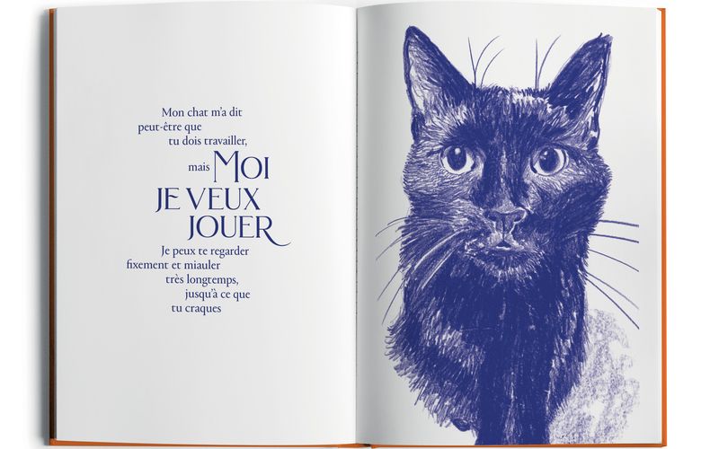 j'ai demandé à mon chat, de Hélène Crochemore