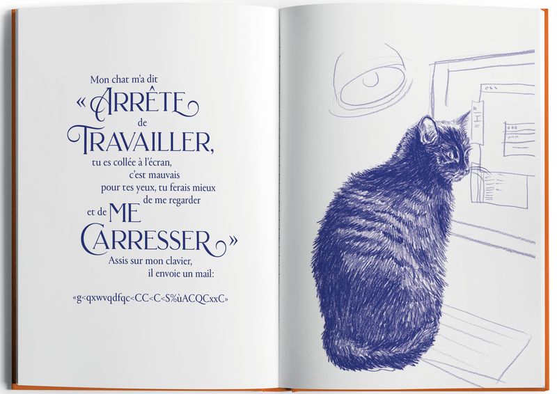 j'ai demandé à mon chat, de Hélène Crochemore